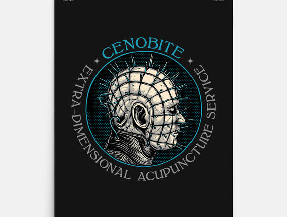 Extra Dimensional Acupuncture