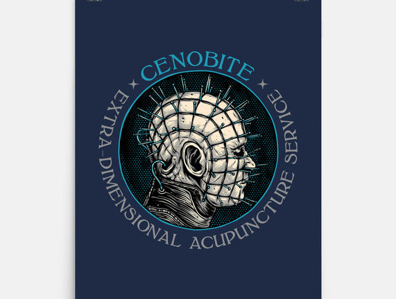 Extra Dimensional Acupuncture