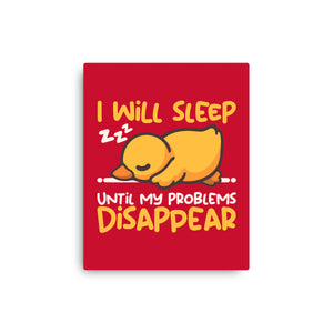 Sleeping Duck With Problems