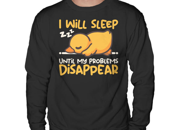 Sleeping Duck With Problems