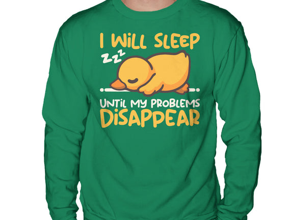 Sleeping Duck With Problems