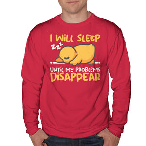 Sleeping Duck With Problems
