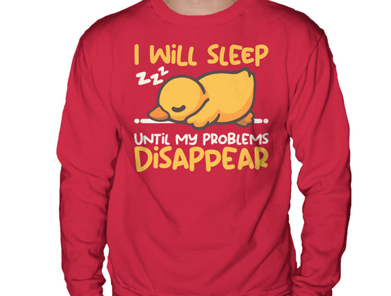 Sleeping Duck With Problems