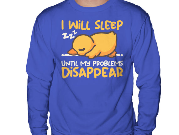 Sleeping Duck With Problems