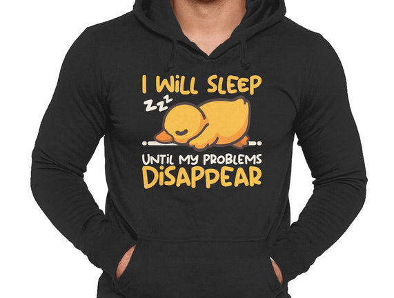 Sleeping Duck With Problems