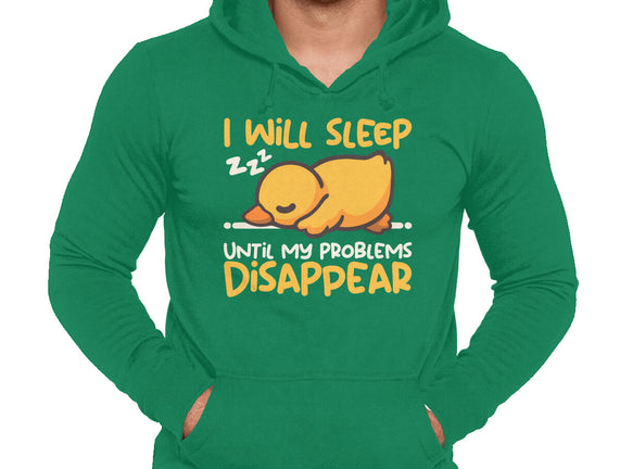 Sleeping Duck With Problems