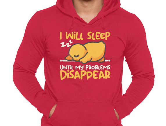 Sleeping Duck With Problems