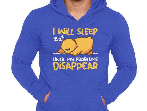Sleeping Duck With Problems