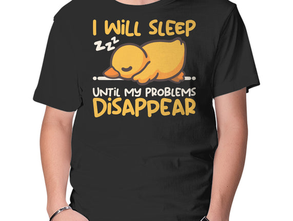 Sleeping Duck With Problems