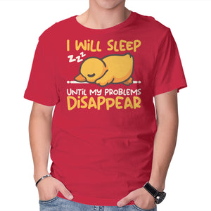 Sleeping Duck With Problems