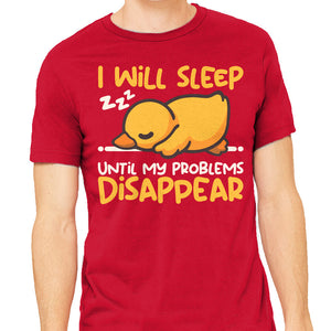 Sleeping Duck With Problems