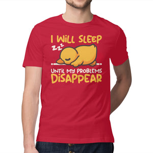 Sleeping Duck With Problems
