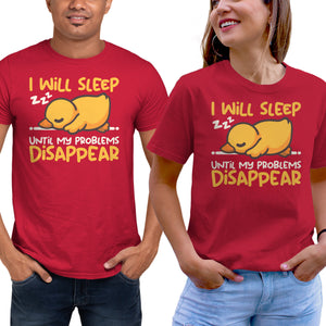 Sleeping Duck With Problems