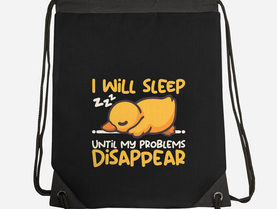 Sleeping Duck With Problems