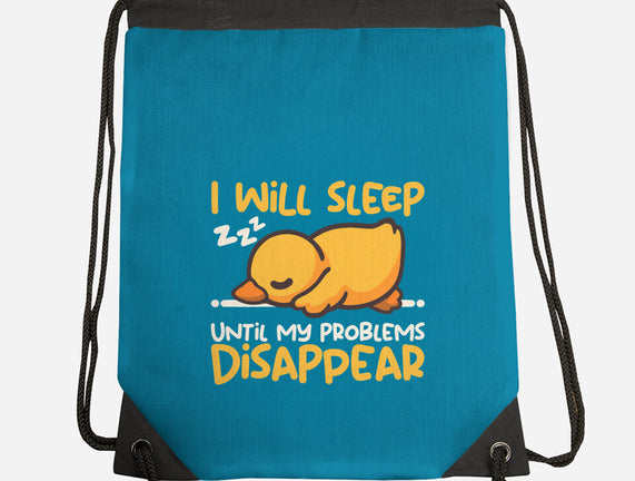 Sleeping Duck With Problems