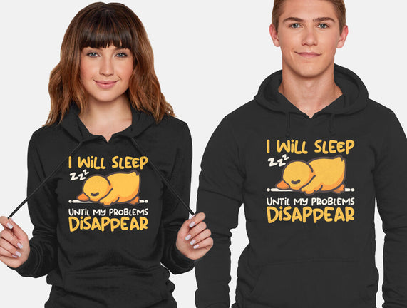 Sleeping Duck With Problems