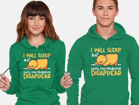 Sleeping Duck With Problems