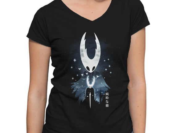 The Hollow Knight Landscape