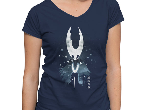 The Hollow Knight Landscape