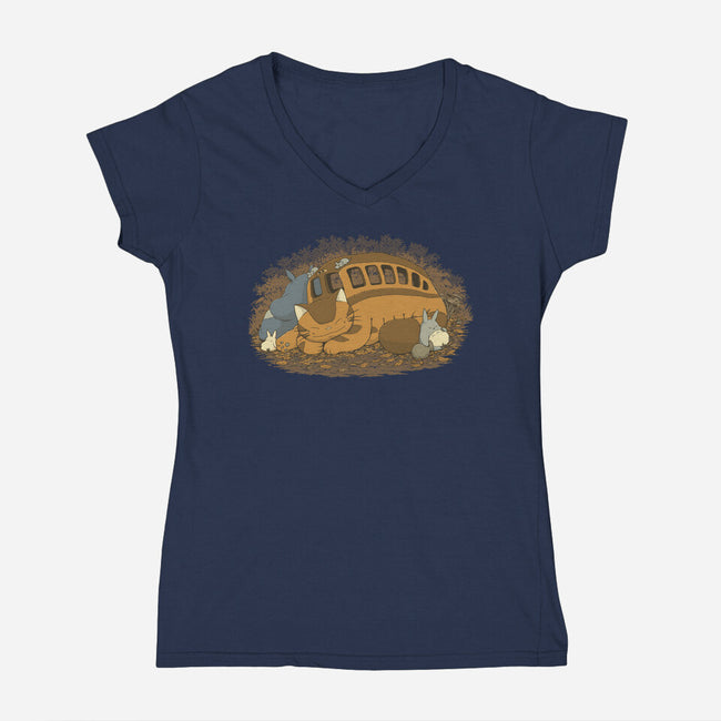 Spirits Nap-Womens-V-Neck-Tee-pigboom