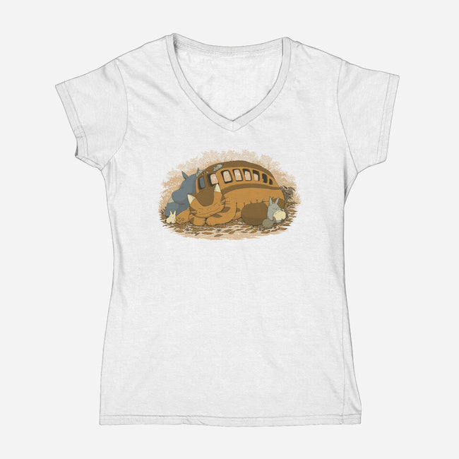 Spirits Nap-Womens-V-Neck-Tee-pigboom