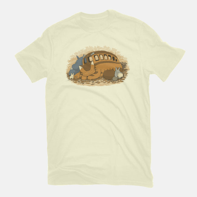 Spirits Nap-Mens-Premium-Tee-pigboom