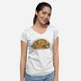 Spirits Nap-Womens-V-Neck-Tee-pigboom