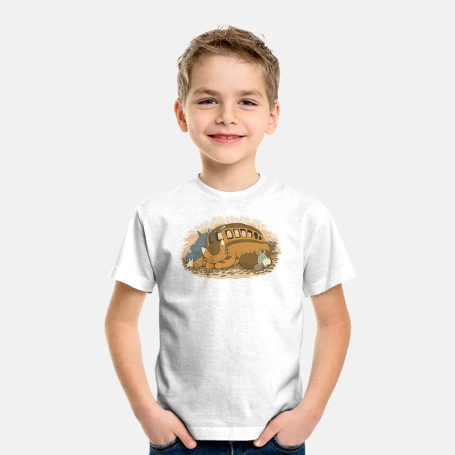Spirits Nap-Youth-Basic-Tee-pigboom