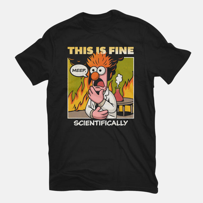Scientifically Calculated Disaster-Mens-Heavyweight-Tee-Popnotic
