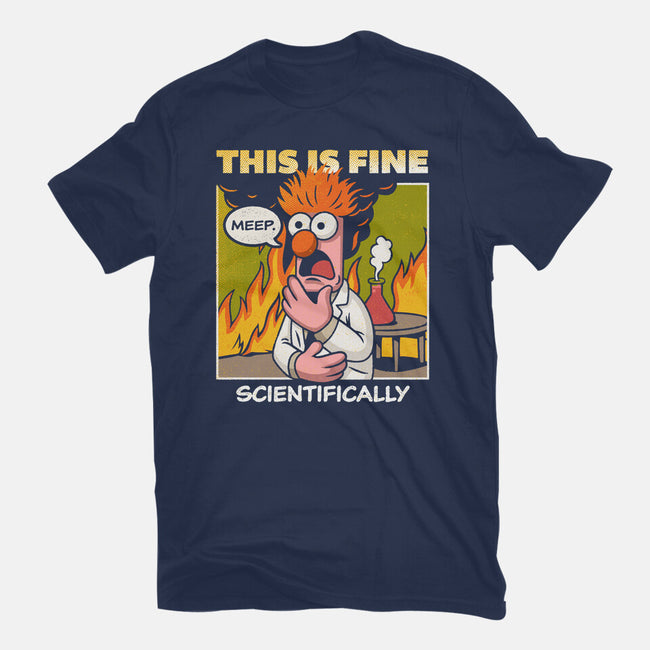 Scientifically Calculated Disaster-Mens-Heavyweight-Tee-Popnotic