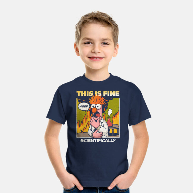 Scientifically Calculated Disaster-Youth-Basic-Tee-Popnotic