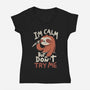 I'm Calm But Don't Try Me-Womens-V-Neck-Tee-koalastudio