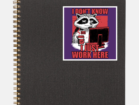 Raccoon Tired Work