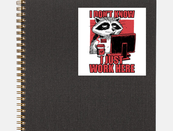Raccoon Tired Work