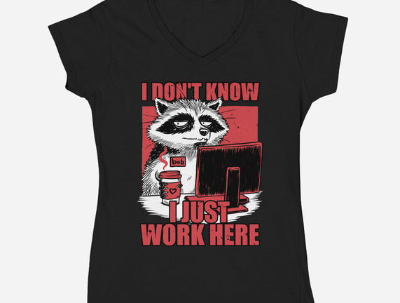 Raccoon Tired Work