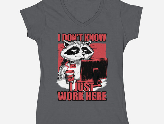 Raccoon Tired Work