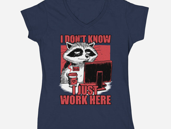 Raccoon Tired Work