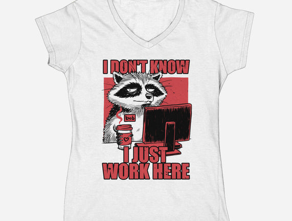 Raccoon Tired Work