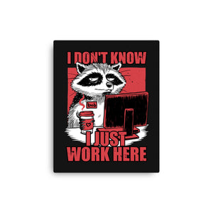Raccoon Tired Work