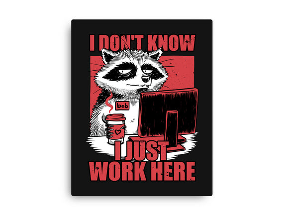 Raccoon Tired Work