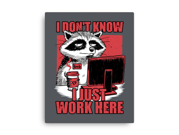 Raccoon Tired Work