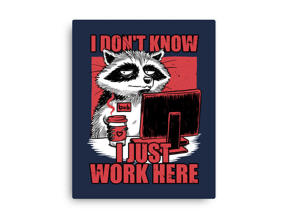 Raccoon Tired Work