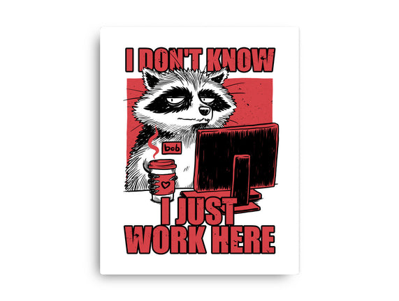 Raccoon Tired Work