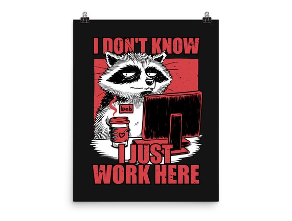 Raccoon Tired Work