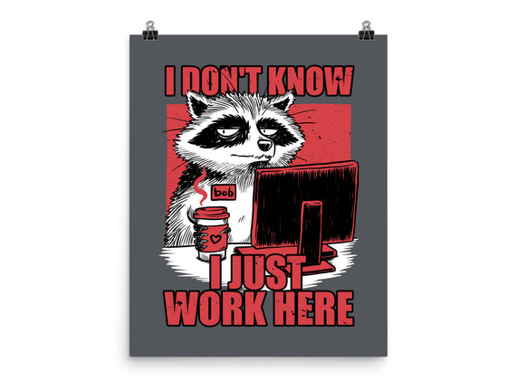 Raccoon Tired Work