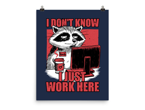 Raccoon Tired Work