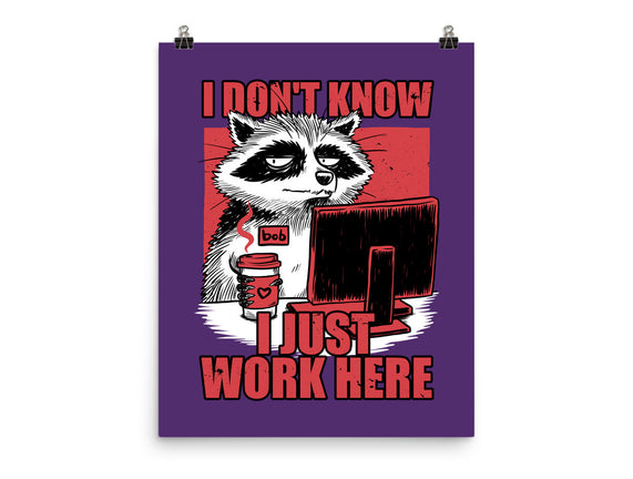 Raccoon Tired Work