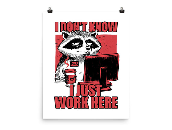Raccoon Tired Work