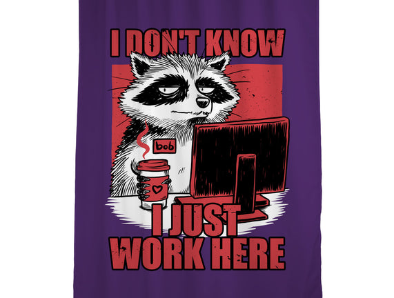 Raccoon Tired Work