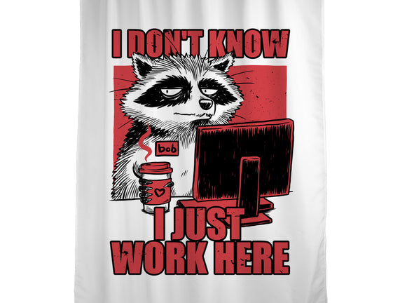 Raccoon Tired Work